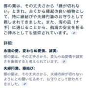 ヒメ日記 2025/07/18 11:00 投稿 なぎ（ダーリング） Yシャツと私