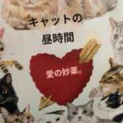 ヒメ日記 2025/10/09 15:49 投稿 なぎ（ダーリング） Yシャツと私