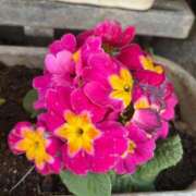 なぎ（ダーリング） 出勤しました Yシャツと私