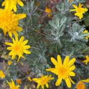 ヒメ日記 2026/02/18 21:03 投稿 なぎ（ダーリング） Yシャツと私