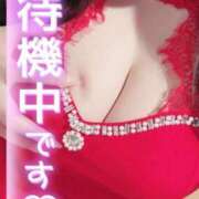 ヒメ日記 2025/12/10 16:45 投稿 くるみ 佐世保人妻デリヘル「デリ夫人」