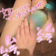 ヒメ日記 2025/11/24 09:46 投稿 ヒナタ 煌-kirameki-