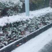 ヒメ日記 2026/02/09 14:00 投稿 くるみ 渋谷角海老