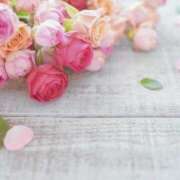 ヒメ日記 2026/04/19 15:11 投稿 麻衣 ROYAL　GRACE