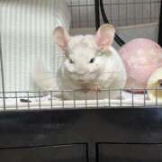 ヒメ日記 2025/05/15 12:40 投稿 はるひ 即トク奥さん