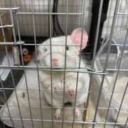 ヒメ日記 2025/05/20 19:40 投稿 はるひ 即トク奥さん