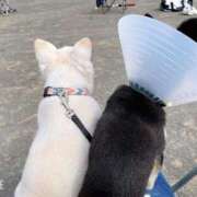 ヒメ日記 2025/08/19 10:10 投稿 はるひ 即トク奥さん