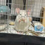 ヒメ日記 2025/11/15 12:50 投稿 はるひ 即トク奥さん