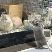 ヒメ日記 2025/11/19 10:20 投稿 はるひ 即トク奥さん