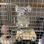 ヒメ日記 2025/11/22 14:40 投稿 はるひ 即トク奥さん