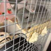 ヒメ日記 2025/11/27 12:00 投稿 はるひ 即トク奥さん