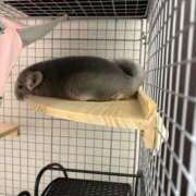 はるひ おはようございます☀️ 即トク奥さん