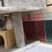 ヒメ日記 2025/12/25 12:30 投稿 はるひ 即トク奥さん