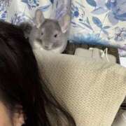 ヒメ日記 2025/12/26 15:20 投稿 はるひ 即トク奥さん