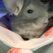 ヒメ日記 2026/01/14 14:30 投稿 はるひ 即トク奥さん