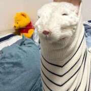 ヒメ日記 2026/02/01 06:16 投稿 はるひ 即トク奥さん