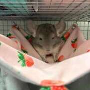 ヒメ日記 2026/02/27 14:40 投稿 はるひ 即トク奥さん