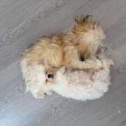 はるひ すみません💦 即トク奥さん