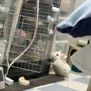 ヒメ日記 2026/03/09 21:20 投稿 はるひ 即トク奥さん