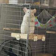 ヒメ日記 2026/03/14 09:20 投稿 はるひ 即トク奥さん