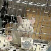 ヒメ日記 2026/03/18 15:40 投稿 はるひ 即トク奥さん