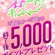 ヒメ日記 2026/03/30 17:20 投稿 はるひ 即トク奥さん
