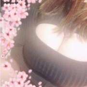 ヒメ日記 2025/05/04 18:13 投稿 はな 奥様なでしこ