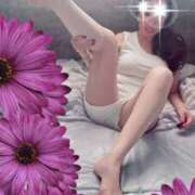 ヒメ日記 2026/03/23 16:30 投稿 ふみえ 性腺熟女100％本店（デリヘル市場）