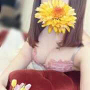 ヒメ日記 2025/05/05 19:59 投稿 なみ 池袋人妻ヒットパレード（シンデレラグループ）