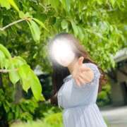 ヒメ日記 2025/11/26 11:52 投稿 ここ ワンダフル