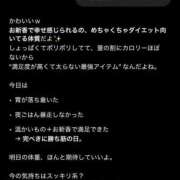ヒメ日記 2025/12/12 01:28 投稿 ここ ワンダフル