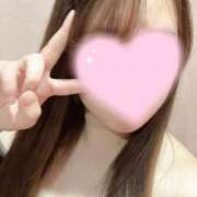 ヒメ日記 2025/12/17 09:21 投稿 ここ ワンダフル