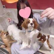 ヒメ日記 2025/12/27 20:33 投稿 ここ ワンダフル