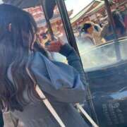 ヒメ日記 2025/12/28 09:40 投稿 ここ ワンダフル