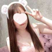 ヒメ日記 2026/01/31 13:59 投稿 ここ ワンダフル