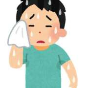 ヒメ日記 2026/02/11 17:26 投稿 ここ ワンダフル