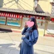 ヒメ日記 2026/03/29 10:08 投稿 ここ ワンダフル