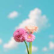 ヒメ日記 2025/06/16 04:34 投稿 祈里 おとなのわいせつ倶楽部 池袋店