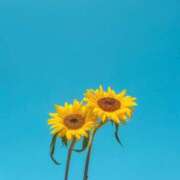 ヒメ日記 2025/08/17 18:54 投稿 祈里 おとなのわいせつ倶楽部 池袋店