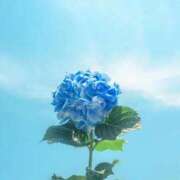 ヒメ日記 2025/09/04 18:44 投稿 祈里 おとなのわいせつ倶楽部 池袋店