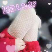 ヒメ日記 2025/12/20 12:51 投稿 ゆりあ 水戸ソープランド　水戸スリーナイン(9990)