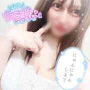 ヒメ日記 2026/02/28 18:41 投稿 ゆりあ 水戸ソープランド　水戸スリーナイン(9990)