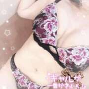 ヒメ日記 2026/05/17 09:57 投稿 ゆりあ 水戸ソープランド　水戸スリーナイン(9990)