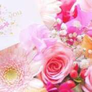 ヒメ日記 2025/07/04 16:37 投稿 しほ 待ちナビ