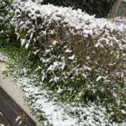 ヒメ日記 2026/02/08 09:46 投稿 成美（ナルミ） アバンチュール(五反田)