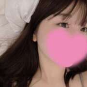 ヒメ日記 2025/06/26 11:08 投稿 ひめ ホテルだヨ！全員集合