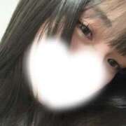 ヒメ日記 2025/08/15 08:34 投稿 ひめ ホテルだヨ！全員集合