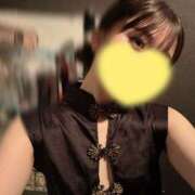 ヒメ日記 2025/11/02 14:04 投稿 ひめ ホテルだヨ！全員集合