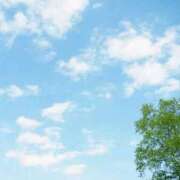 ヒメ日記 2025/06/13 12:11 投稿 藤森みなみ 甲府回春アロマージュ