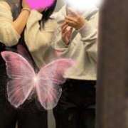 ヒメ日記 2025/09/25 23:43 投稿 かや Love Fantasy（ラブファンタジー）